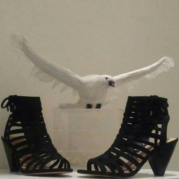 Meet your Posher, Mayra - Picture 13 of 15